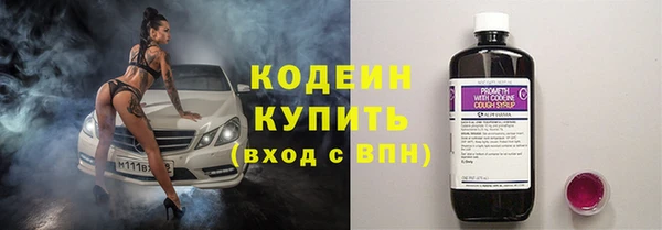 spice Лагань