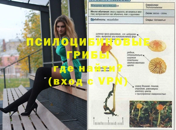 spice Лагань